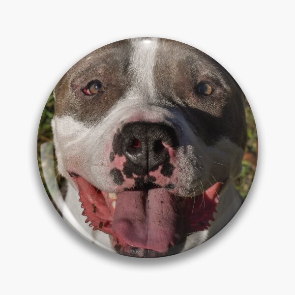 Item preview, Happy Pitty designed and sold by claireecuyer.