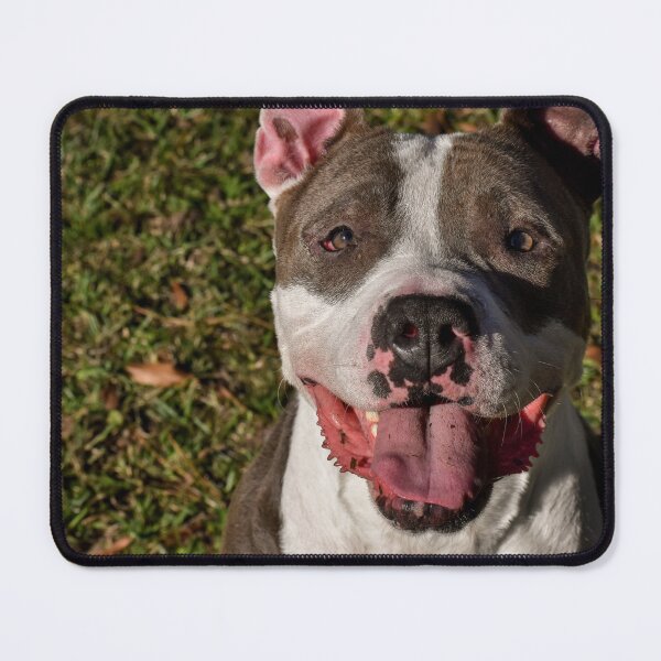 Item preview, Happy Pitty designed and sold by claireecuyer.