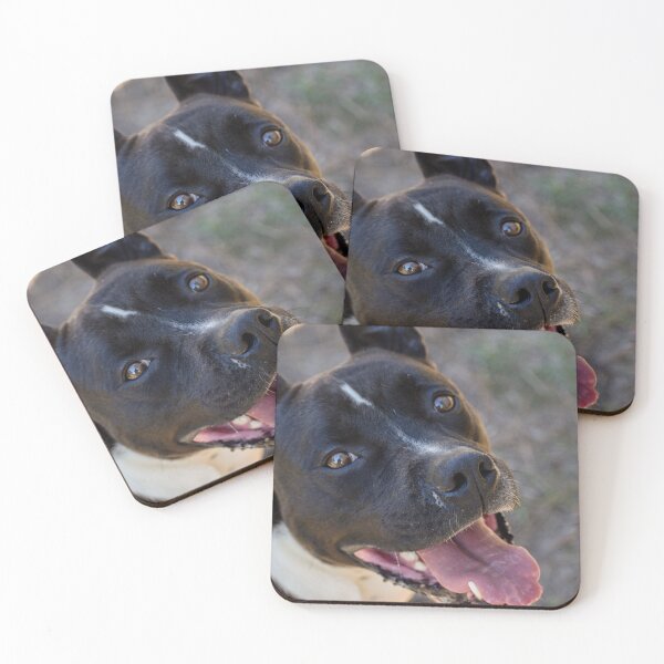 Item preview, Lovely Pitty designed and sold by claireecuyer.