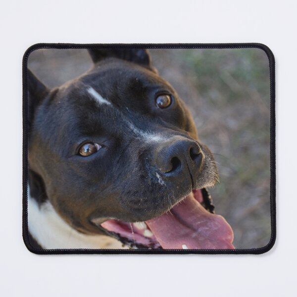 Item preview, Lovely Pitty designed and sold by claireecuyer.