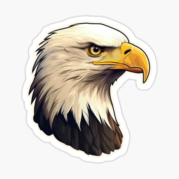 Bald eagle - head' Sticker