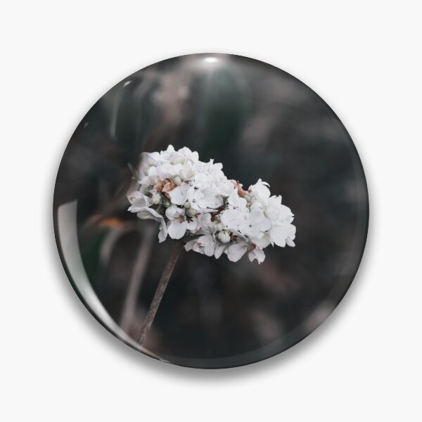 Item preview, Beauty in Detail designed and sold by claireecuyer.