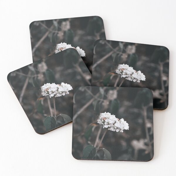 Item preview, Beauty in Detail designed and sold by claireecuyer.