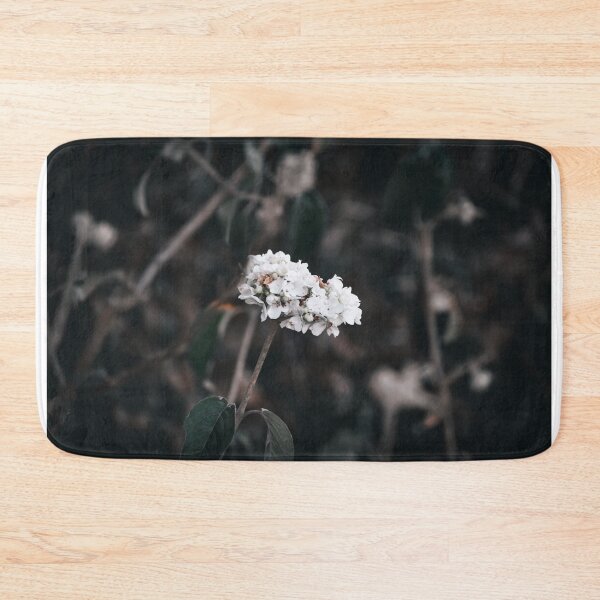 Item preview, Beauty in Detail designed and sold by claireecuyer.