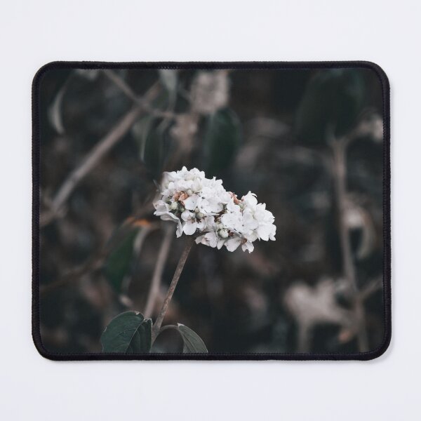 Item preview, Beauty in Detail designed and sold by claireecuyer.