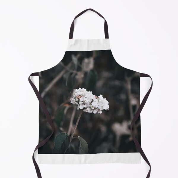 Item preview, Beauty in Detail designed and sold by claireecuyer.