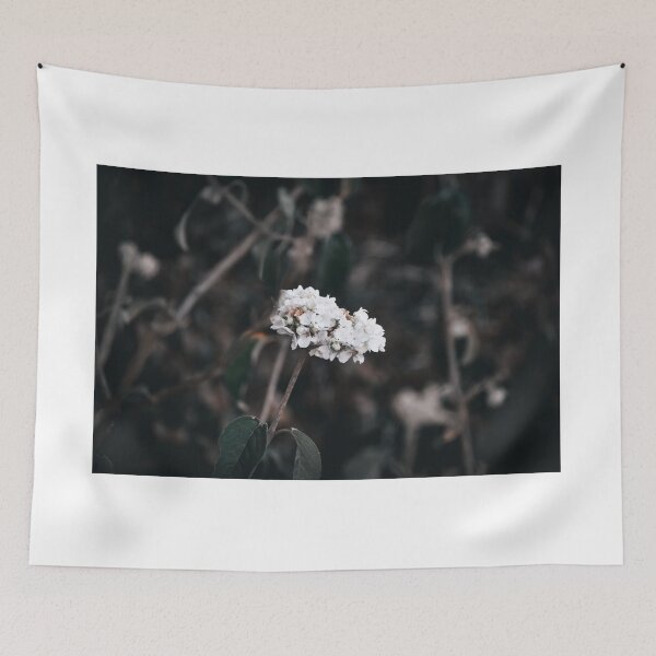 Item preview, Beauty in Detail designed and sold by claireecuyer.