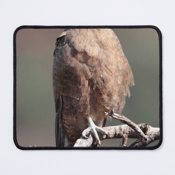 Item preview, Brown Falcon of Australia designed and sold by Seesee.