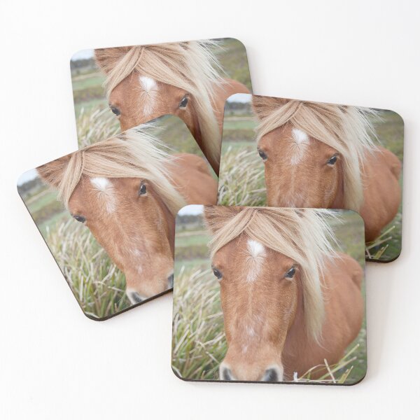 Item preview, Miniature Horse in a paddock Tasmania designed and sold by ThomasPenny.