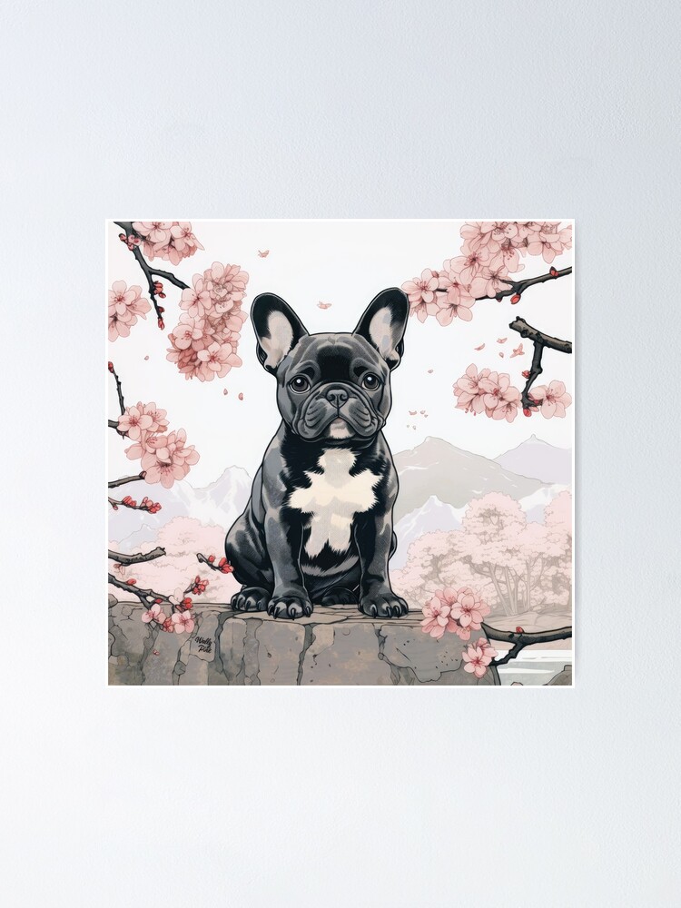 Old style hot sale french bulldog