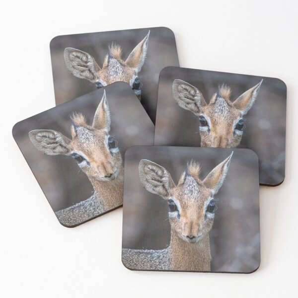 Item preview, antílope dik dik designed and sold by PhilippaBecks.