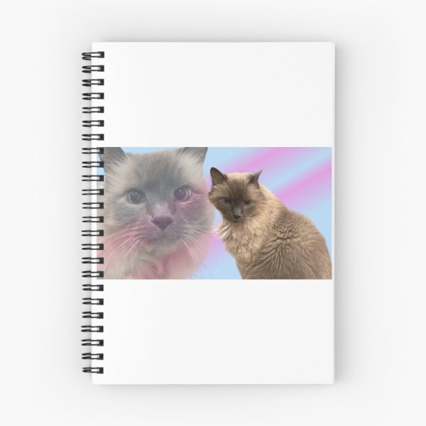 Item preview, Ching school photo Fall 2023 designed and sold by brielindsay.