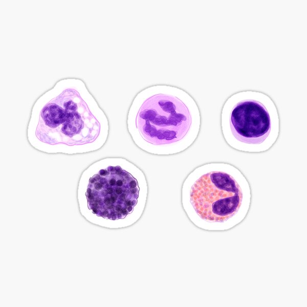 Item preview, Water Colour White Blood Cells designed and sold by mylabcoat.