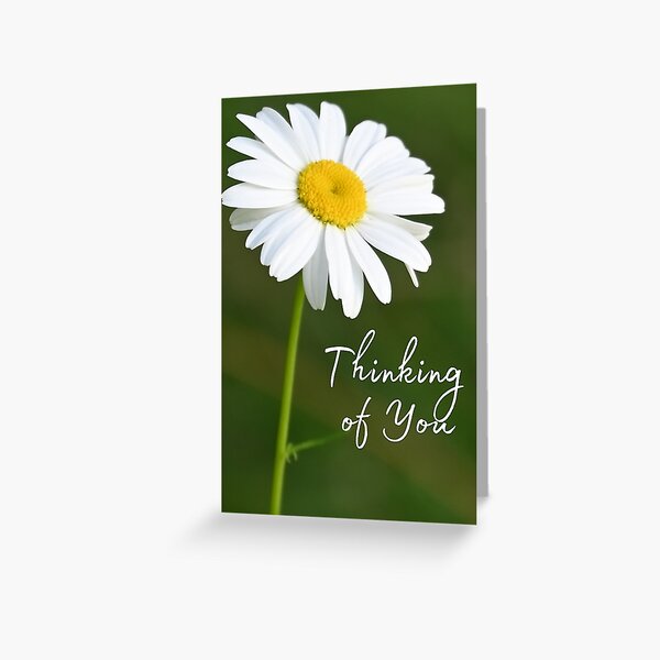 Thinking Of You, Daisy Greeting Card