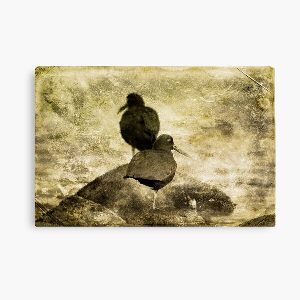 searching Canvas Print