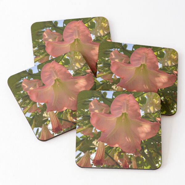 Item preview, Pink flower of the Brugmansia Insignis plant designed and sold by Ponted.