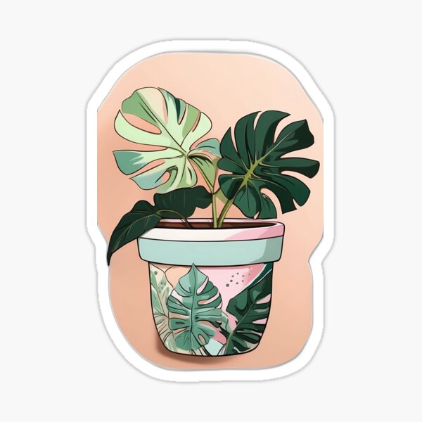 Vista previa del artículo con la obra «Una monstera albo bellamente macetada», diseñado y vendido por Planthem.