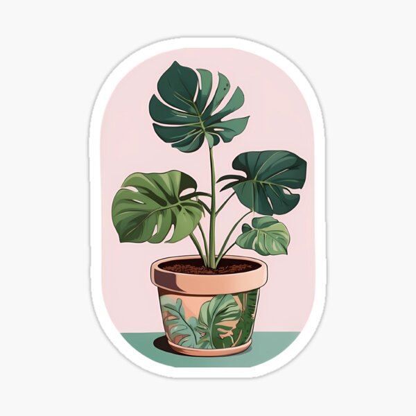 Vista previa del artículo con la obra «Una monstera albo bellamente macetada», diseñado y vendido por Planthem.
