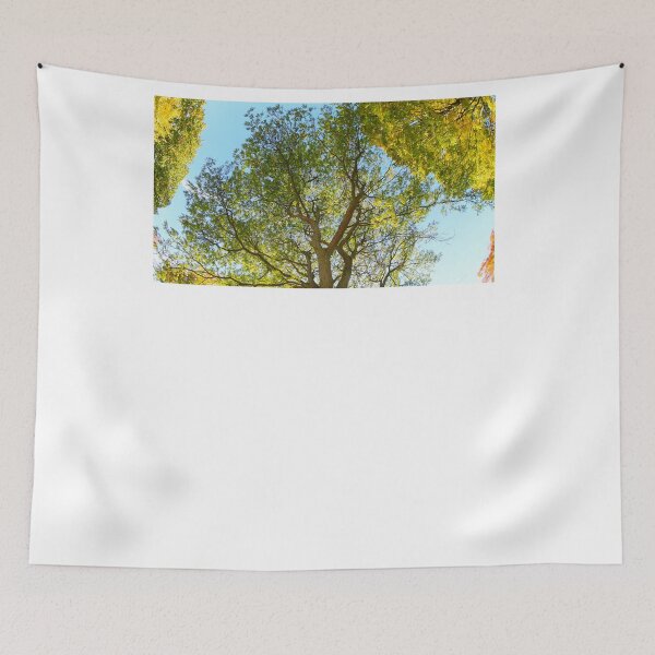 Item preview, The Beauty of Trees  designed and sold by fototaker Tony.