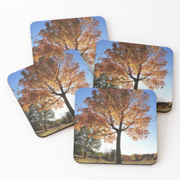 Item preview, The Beauty of Trees - 2 designed and sold by fototaker Tony.
