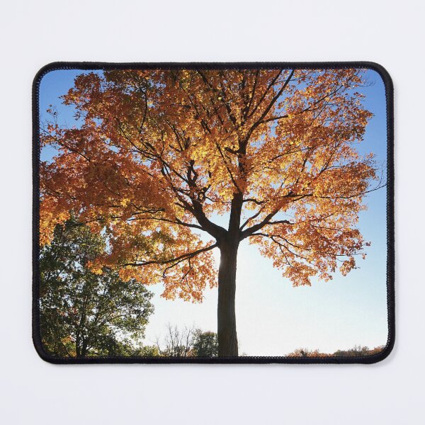 Item preview, The Beauty of Trees - 2 designed and sold by fototaker Tony.