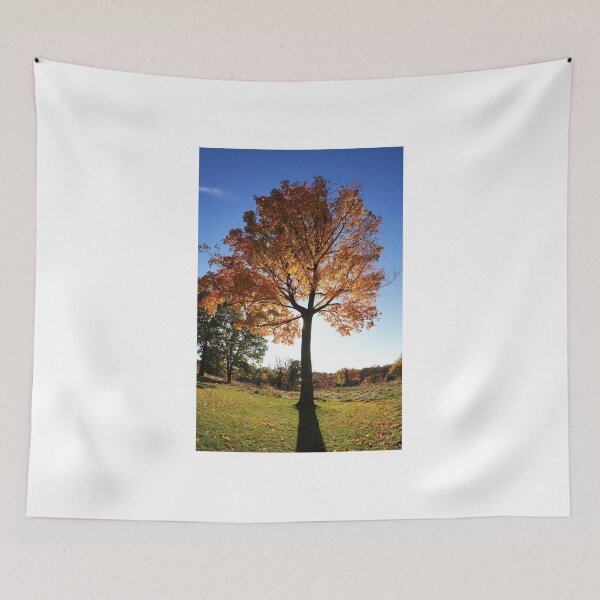 Item preview, The Beauty of Trees - 2 designed and sold by fototaker Tony.