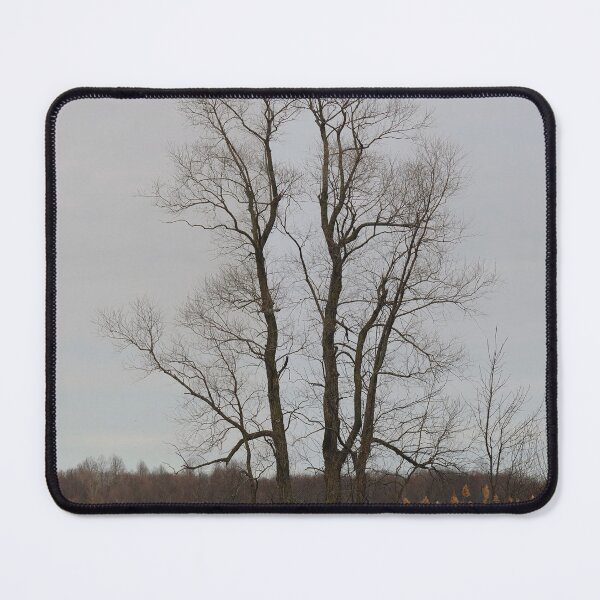 Item preview, The Beauty of Trees 1 designed and sold by fototaker Tony.