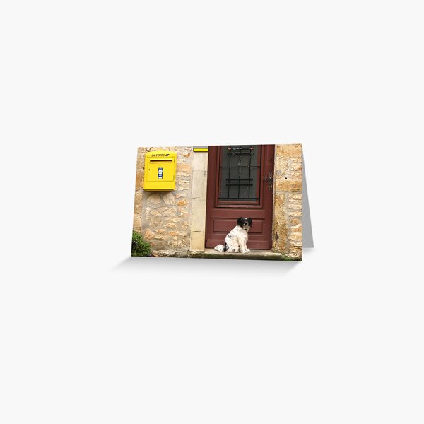 Waiting Patiently Greeting Card