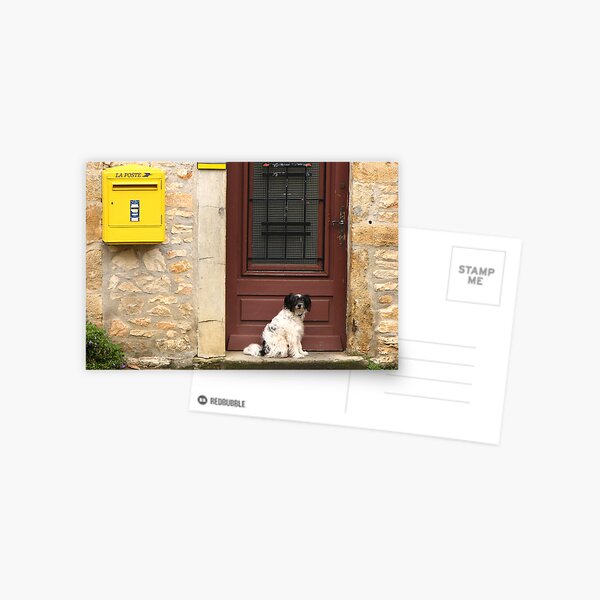Waiting Patiently Postcard