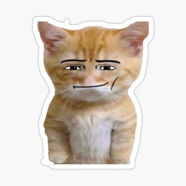 Cat with man face - Roblox