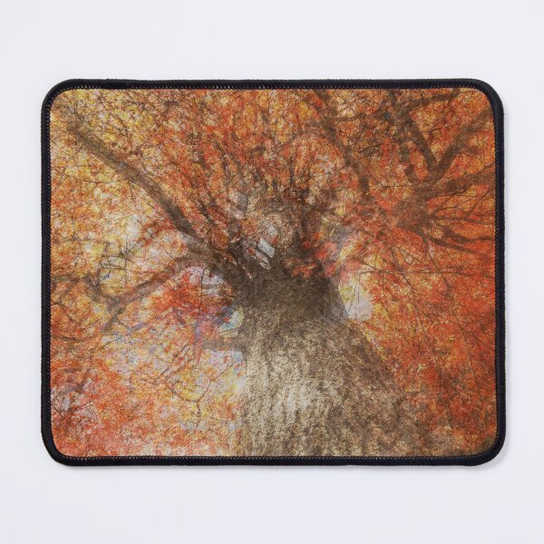 Item preview, Oaktree impressions designed and sold by Angela King Jones.