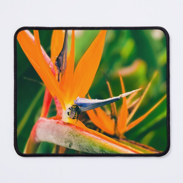 Item preview, Bird of Paradise designed and sold by LTSmash1200.