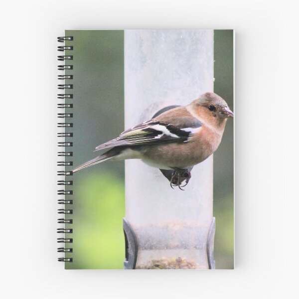 Item preview, chaffinch designed and sold by KathleenDawson.