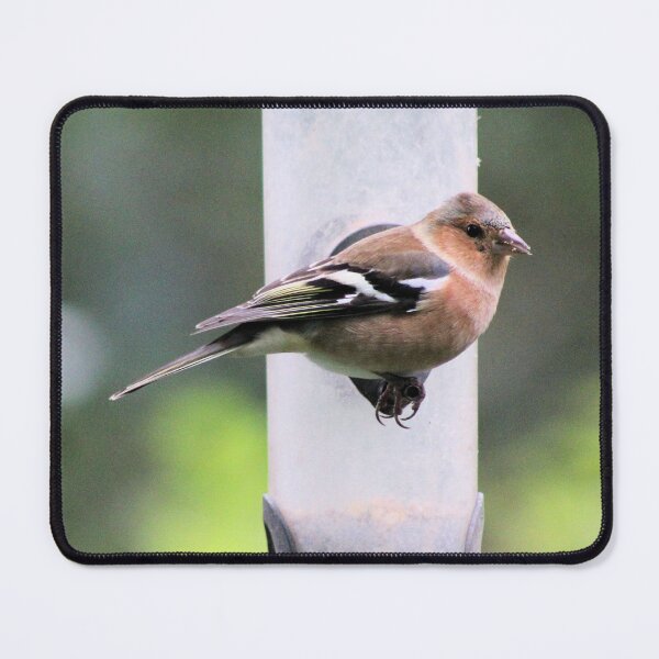 Item preview, chaffinch designed and sold by KathleenDawson.