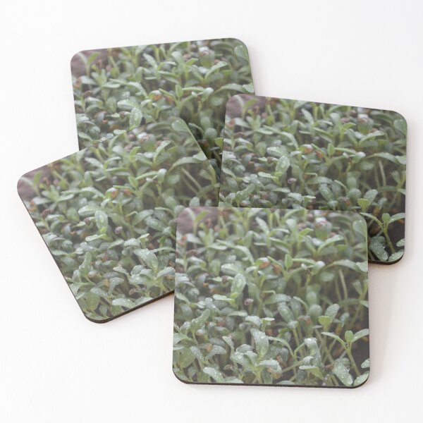 Item preview, Super greens for Vegans and Vegetarians  designed and sold by crazymessygirl.