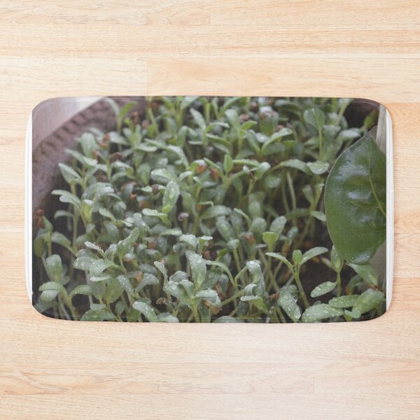 Item preview, Super greens for Vegans and Vegetarians  designed and sold by crazymessygirl.