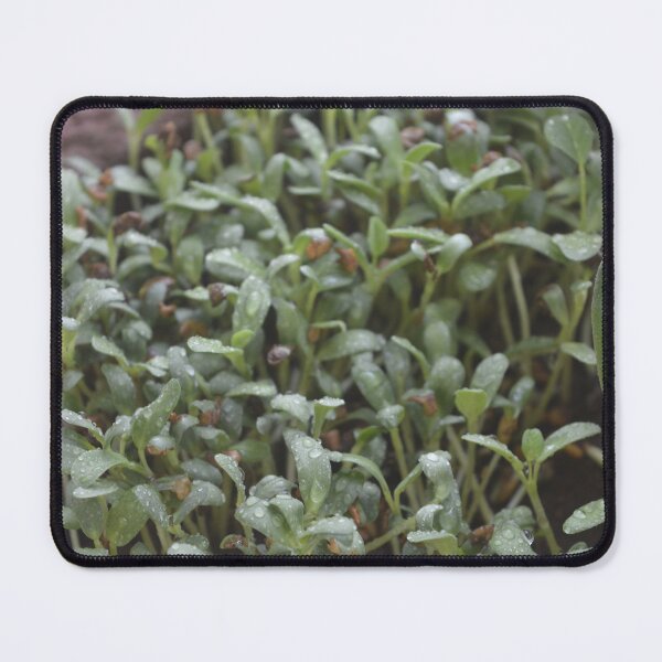 Item preview, Super greens for Vegans and Vegetarians  designed and sold by crazymessygirl.