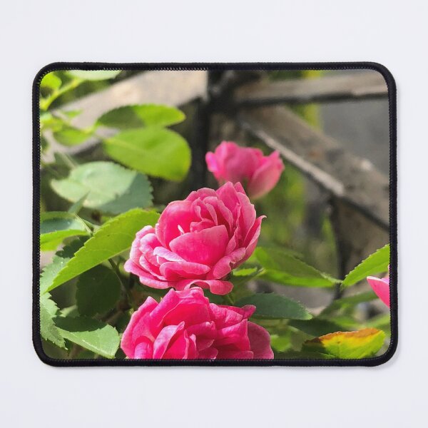 Item preview, Lovely Mini pink roses for stickers and art prints  designed and sold by crazymessygirl.