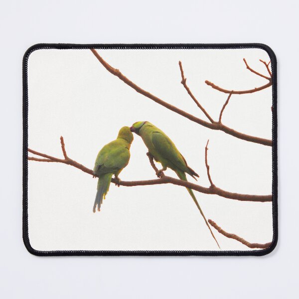 Item preview, Two Parakeets in Love Couple Romantic Photography for Stickers and Decor  designed and sold by crazymessygirl.