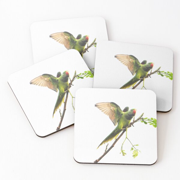 Item preview, Parakeet Parrot with Wings wide open for stickers and home decor  designed and sold by crazymessygirl.