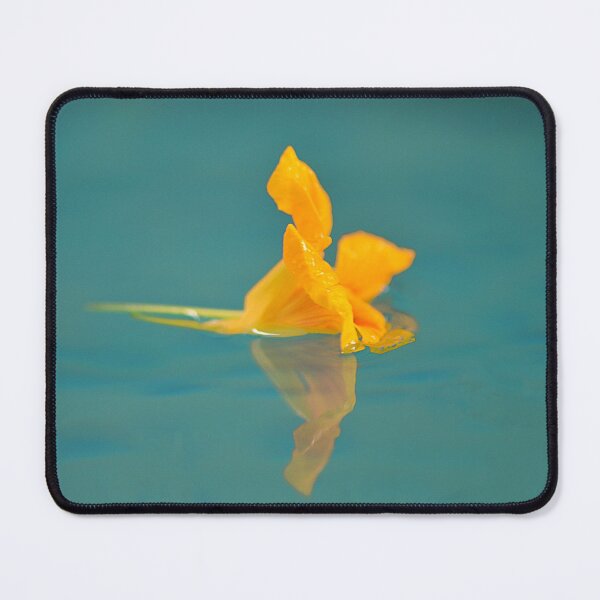 Item preview, Floating Orange Naturtium Flower blue green background designed and sold by IPPhotography.