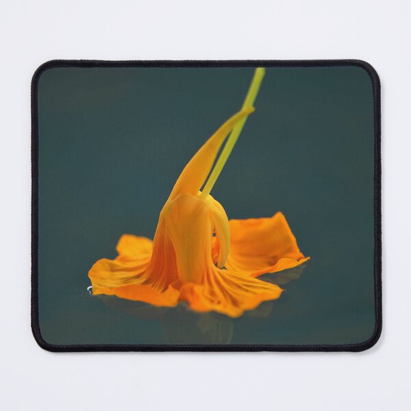 Item preview, Nasturtium orange flower floating against dark background  designed and sold by IPPhotography.