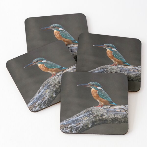 Item preview, Cornish Kingfisher designed and sold by kathleenjean.