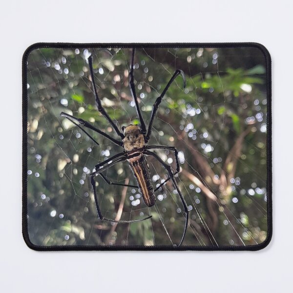 Item preview, Spider designed and sold by sokileri999.
