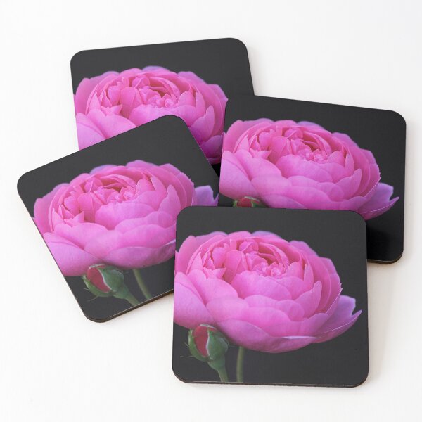 Item preview, Rose designed and sold by Kim Chi Thai.