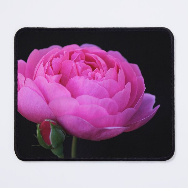 Item preview, Rose designed and sold by Kim Chi Thai.