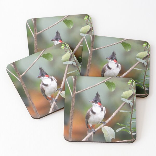 Item preview, Red Vented Bulbul Bird Photography  designed and sold by crazymessygirl.