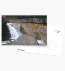 brush work Postcards