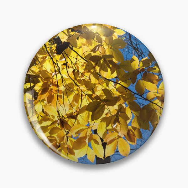 Item preview, Draped in Gold - Forest Bathing on a Glorious Autumn Day designed and sold by Georgia Mizuleva.