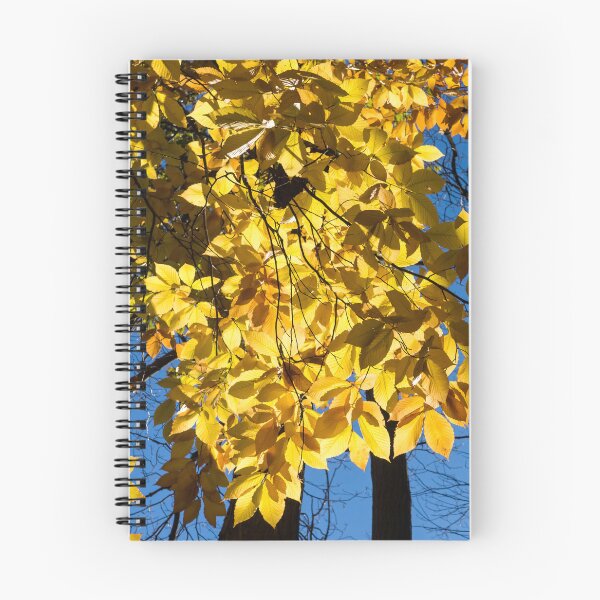 Item preview, Draped in Gold - Forest Bathing on a Glorious Autumn Day designed and sold by Georgia Mizuleva.